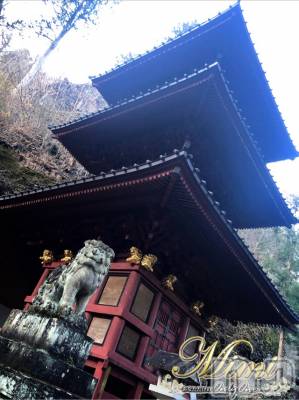 長岡デリヘル Mimi(ミミ) チョコ【SPアドバイザー】(24)の12月27日写メブログ「＊不思議なところっ♡♡♡＊」