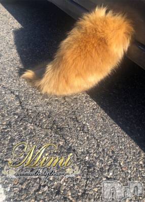 長岡デリヘル Mimi(ミミ) チョコ【SPアドバイザー】(24)の1月2日写メブログ「❤︎おはようございます♡笑❤︎」