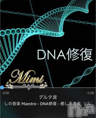 長岡デリヘル Mimi(ミミ) チョコ【SPアドバイザー】(24)の3月13日写メブログ「痙攣するくらい気持ちいい。いただきました。笑」