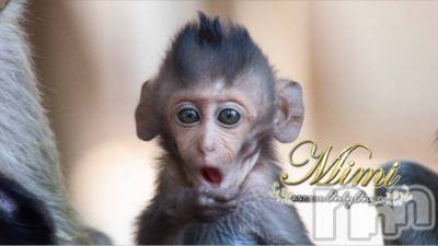 長岡デリヘル Mimi(ミミ) チョコ【SPアドバイザー】(24)の3月18日写メブログ「＊昨日お客様からゆわれた一言＊」