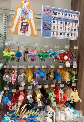 長岡デリヘル Mimi(ミミ) チョコ【SPアドバイザー】(24)の4月1日写メブログ「❤︎微生物ちゃん！！笑❤︎」