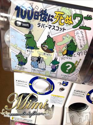 長岡デリヘル Mimi(ミミ) チョコ【SPアドバイザー】(24)の4月2日写メブログ「❤︎100日後に死ぬワニ(◦ˉ ˘ ˉ◦)ガチャポケ❤︎」