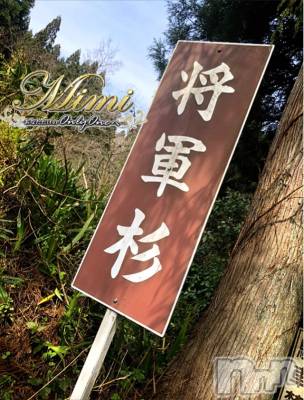 長岡デリヘル Mimi(ミミ) チョコ【SPアドバイザー】(24)の6月2日写メブログ「▼▼▼その名も将軍杉▼▼▼」