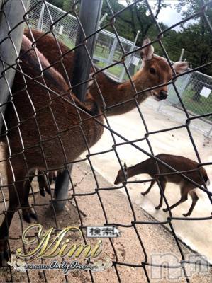 長岡デリヘル Mimi(ミミ) チョコ【SPアドバイザー】(24)の10月3日写メブログ「📌__💎chokochan🙊holiday💎2部💎」