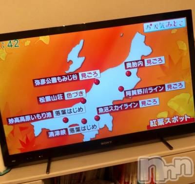 長岡デリヘル Mimi(ミミ) チョコ【SPアドバイザー】(24)の11月9日写メブログ「५✍𓂃 𓈒  なのに、紅葉情報🤭⁉️笑⁉️笑」