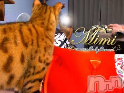 長岡デリヘル Mimi(ミミ) チョコ【SPアドバイザー】(24)の11月18日写メブログ「५✍𓂃 .⋆   すーくん🚶️💞！」