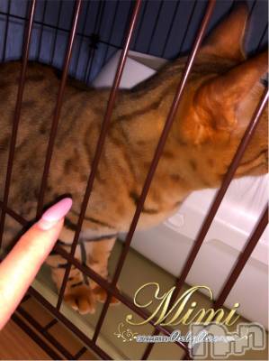 長岡デリヘル Mimi(ミミ) チョコ【SPアドバイザー】(24)の11月19日写メブログ「५✍𓂃 .⋆    すうくん🌝🦩🌿」