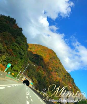 長岡デリヘル Mimi(ミミ) チョコ【SPアドバイザー】(24)の12月11日写メブログ「५✍𓂃 .⋆ choko holiday～🐯10月のお話🐯～1～」