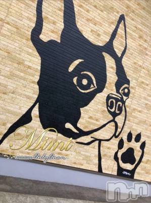 長岡デリヘル Mimi(ミミ) チョコ【SPアドバイザー】(24)の12月11日写メブログ「५✍𓂃 .⋆choko holiday～🐯10月のお話🐯～6～」