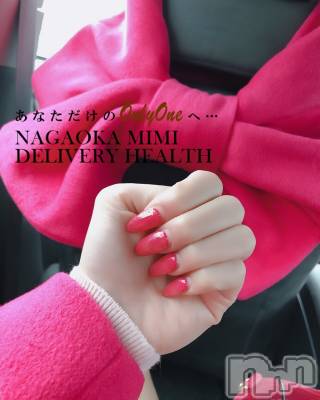 長岡デリヘル Mimi(ミミ) チョコ【SPアドバイザー】(24)の12月12日写メブログ「५✍𓂃 .⋆  『林家・○○○全身ピンクマン💝』」