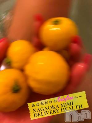 長岡デリヘル Mimi(ミミ) チョコ【SPアドバイザー】(24)の12月29日写メブログ「『おはようごじゃります😇❤️🎀』」