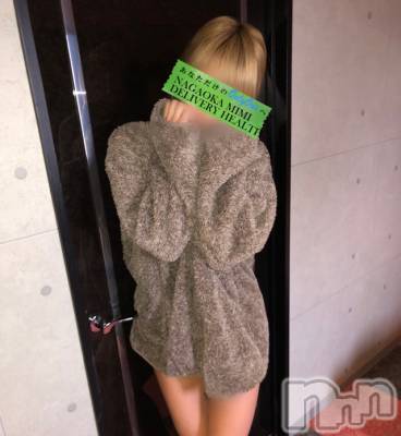 長岡デリヘル Mimi(ミミ) チョコ【SPアドバイザー】(24)の12月29日写メブログ「『トルテくん🌝💎🎀』」