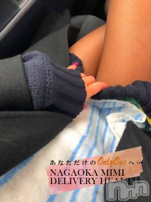 長岡デリヘル Mimi(ミミ) チョコ【SPアドバイザー】(24)の12月31日写メブログ「『消雪パイプでお清め🐶🎀』～ものは考えよう🐶☀️！～」