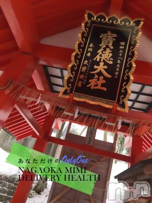 長岡デリヘル Mimi(ミミ) チョコ【SPアドバイザー】(24)の12月31日写メブログ「大晦日　『🎀これから・・メッセージ🐶🎀』」