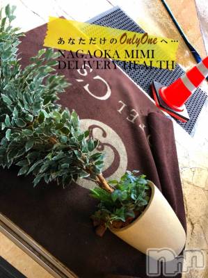 長岡デリヘル Mimi(ミミ) チョコ【SPアドバイザー】(24)の1月7日写メブログ「『ひょえ👱🏻‍♂️』」