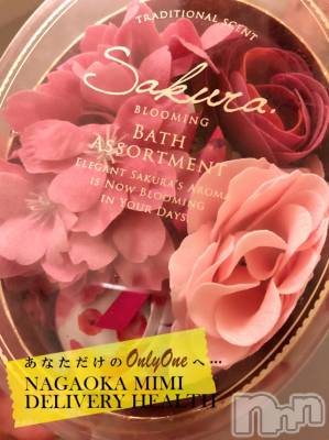 長岡デリヘル Mimi(ミミ) チョコ【SPアドバイザー】(24)の1月16日写メブログ「『だいぶ前に貰ったみつはちゃんと同じ🐺🥒』」