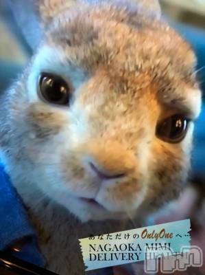 長岡デリヘル Mimi(ミミ) チョコ【SPアドバイザー】(24)の1月26日写メブログ「『我が家に新しい住人💞✊🏽』」