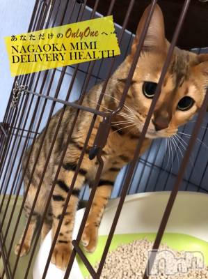 長岡デリヘル Mimi(ミミ) チョコ【SPアドバイザー】(24)の2月22日写メブログ「『おはよう動物の癒やし🥰』」