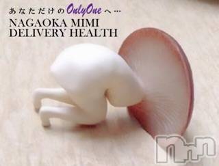 長岡デリヘル Mimi(ミミ) チョコ【SPアドバイザー】(24)の3月1日写メブログ「५✍【動📹画】3）『チョコちゃん💞今日からおやすみ🐵💞✌🏾』」