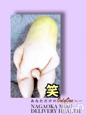 長岡デリヘル Mimi(ミミ) チョコ【SPアドバイザー】(24)の3月2日写メブログ「『到着～🦧💞』」