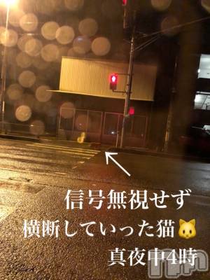 長岡デリヘル Mimi(ミミ) チョコ【SPアドバイザー】(24)の3月22日写メブログ「『これからメッセージ返したら寝ます』」