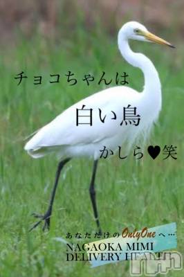 長岡デリヘル Mimi(ミミ) チョコ【SPアドバイザー】(24)の3月30日写メブログ「『くちこみ、ありがとう♥♥』」