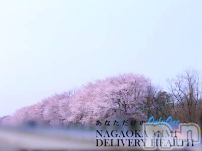 長岡デリヘル Mimi(ミミ) チョコ【SPアドバイザー】(24)の3月31日写メブログ「『桜🐵』」