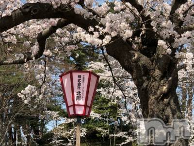 長岡デリヘル Mimi(ミミ) チョコ【SPアドバイザー】(24)の4月2日写メブログ「『おはようございます🐕💞✌🏾』」