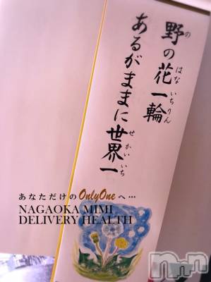 長岡デリヘル Mimi(ミミ) チョコ【SPアドバイザー】(24)の4月3日写メブログ「『おばあちゃんちにあった👱🏻‍♂️💞言葉💞』」