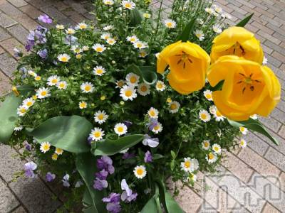 長岡デリヘル Mimi(ミミ) チョコ【SPアドバイザー】(24)の4月4日写メブログ「『お花見は、、どこでもできる🐕💖』」