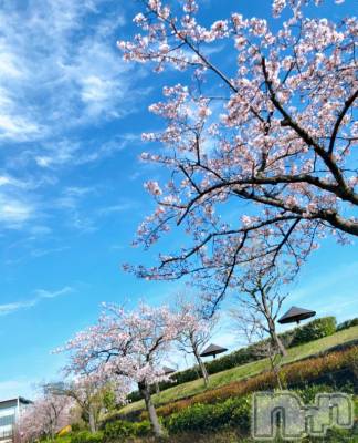 長岡デリヘル Mimi(ミミ) チョコ【SPアドバイザー】(24)の4月9日写メブログ「『チョコちゃんの休日編🥰💞』」