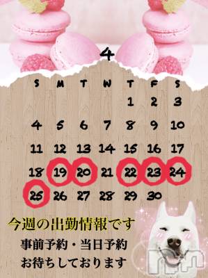 長岡デリヘル Mimi(ミミ) チョコ【SPアドバイザー】(24)の4月19日写メブログ「『おはよう週始めな世界🙃💞』」