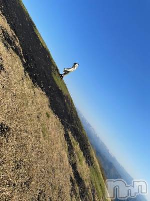 長岡デリヘル Mimi(ミミ) チョコ【SPアドバイザー】(24)の5月11日写メブログ「チョコちゃんの休日編😍🌹笑」