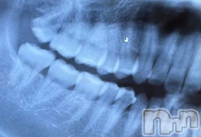 長岡デリヘル Mimi(ミミ) チョコ【SPアドバイザー】(24)の5月28日写メブログ「現実は・・」