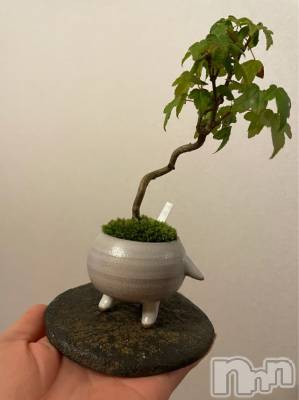 長岡デリヘル Mimi(ミミ) チョコ【SPアドバイザー】(24)の6月5日写メブログ「やばい可愛い😜🪴」