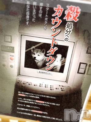 長岡デリヘル Mimi(ミミ) チョコ【SPアドバイザー】(24)の6月15日写メブログ「ふと、、よった先に、、😗💞」