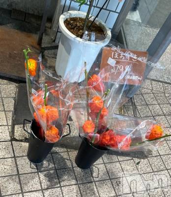 長岡デリヘル Mimi(ミミ) チョコ【SPアドバイザー】(24)の7月14日写メブログ「ほおずきみたら😭💞」