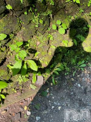 長岡デリヘル Mimi(ミミ) チョコ【SPアドバイザー】(24)の8月4日写メブログ「森の妖精🧚笑」