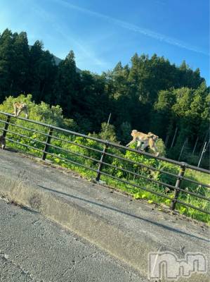 長岡デリヘル Mimi(ミミ) チョコ【SPアドバイザー】(24)の9月7日写メブログ「嘘みたいな話😂💖💖！」