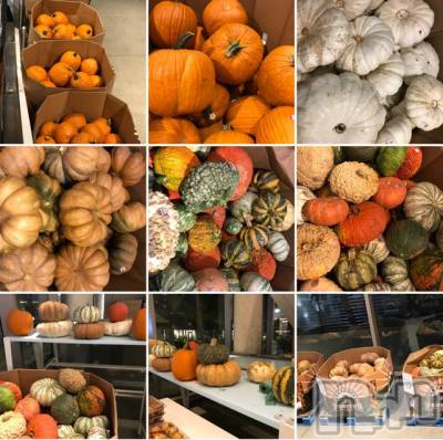 長岡デリヘル Mimi(ミミ) チョコ【SPアドバイザー】(24)の9月18日写メブログ「あいちゃんから送ってもらった👩🏾‍🦱💖」