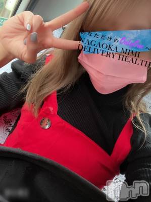 長岡デリヘル Mimi(ミミ) チョコ【SPアドバイザー】(24)の9月26日写メブログ「今日は何を話そうかなあ～🐷🌸💕」