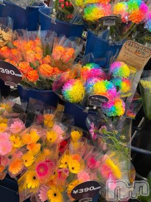 長岡デリヘル Mimi(ミミ) チョコ【SPアドバイザー】(24)の11月18日写メブログ「休日ブログ編🧸💓～綺麗な薔薇💓～」