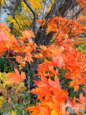 長岡デリヘル Mimi(ミミ) チョコ【SPアドバイザー】(24)の11月20日写メブログ「【休日ブログ🐺🌹～紅葉編～】♥全国総選挙応援個人イベント♥」