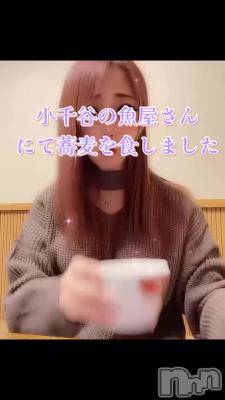 長岡デリヘル Mimi(ミミ) チョコ【SPアドバイザー】(24)の1月6日動画「小千谷「魚屋」さん🐯💞」