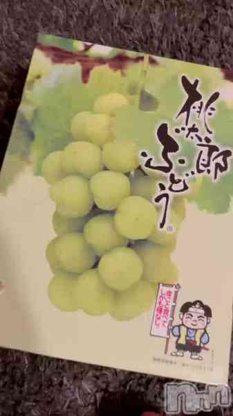 チョコ【SPアドバイザー】の動画 【姉から頂いた🍇】
