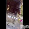 長岡デリヘル Mimi(ミミ) チョコ【SPアドバイザー】(24)の動画「𓂃 𓈒𓏸神馬🐎様𓂃 𓈒𓏸」