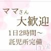 ѥ˥ ݥ ޥޤ¿괰ǤŻ
