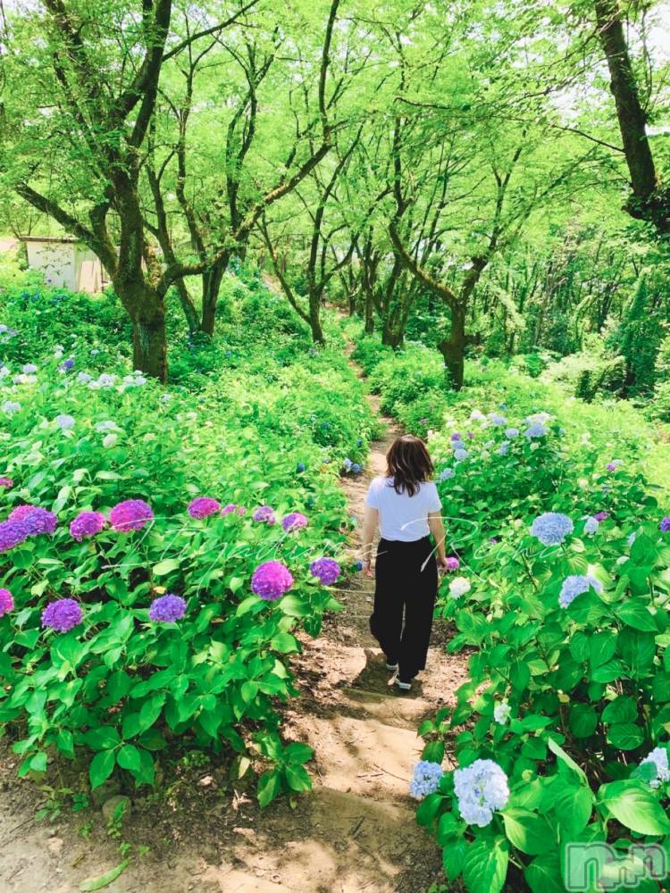 新潟人妻デリヘル一夜妻(イチヤヅマ) れいな/S嬢(31)の7月29日写メブログ「山登り初心者🔰今年デビューしちゃうかも！？」