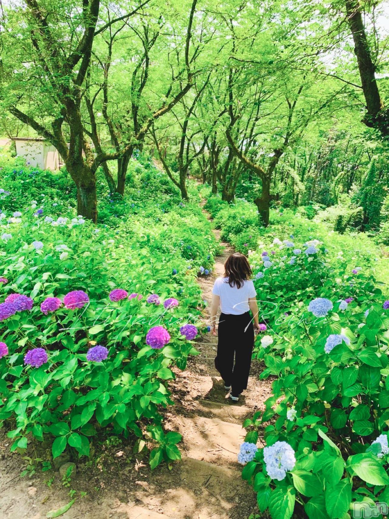 新潟人妻デリヘル一夜妻(イチヤヅマ)れいな/S嬢(31)の2025年7月29日写メブログ「山登り初心者🔰今年デビューしちゃうかも！？」