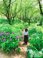 新潟人妻デリヘル一夜妻(イチヤヅマ) れいな/S嬢(31)の7月29日写メブログ「山登り初心者🔰今年デビューしちゃうかも！？」